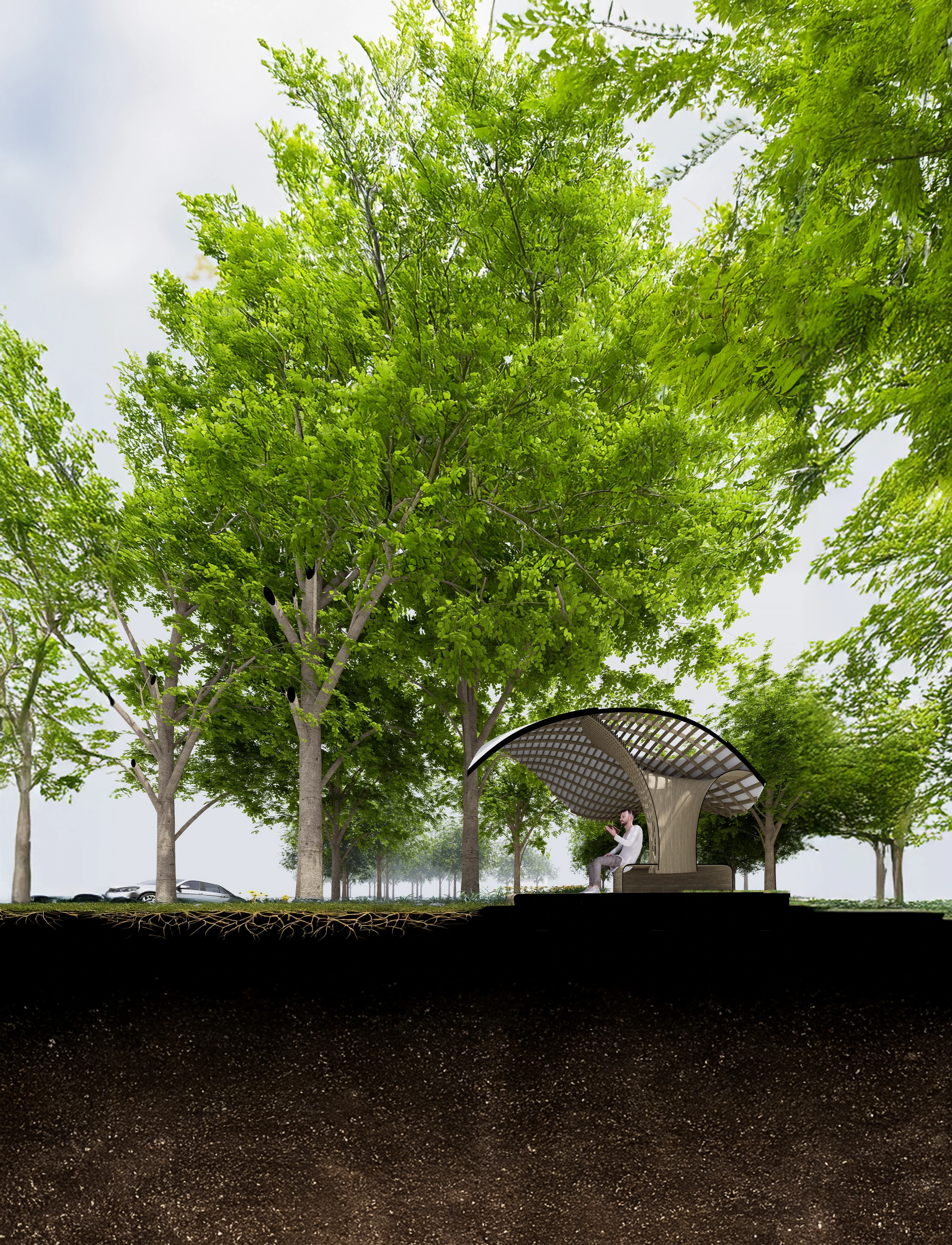 Environmental section. Ground, canopy and water are read together as one vertical ecological system.