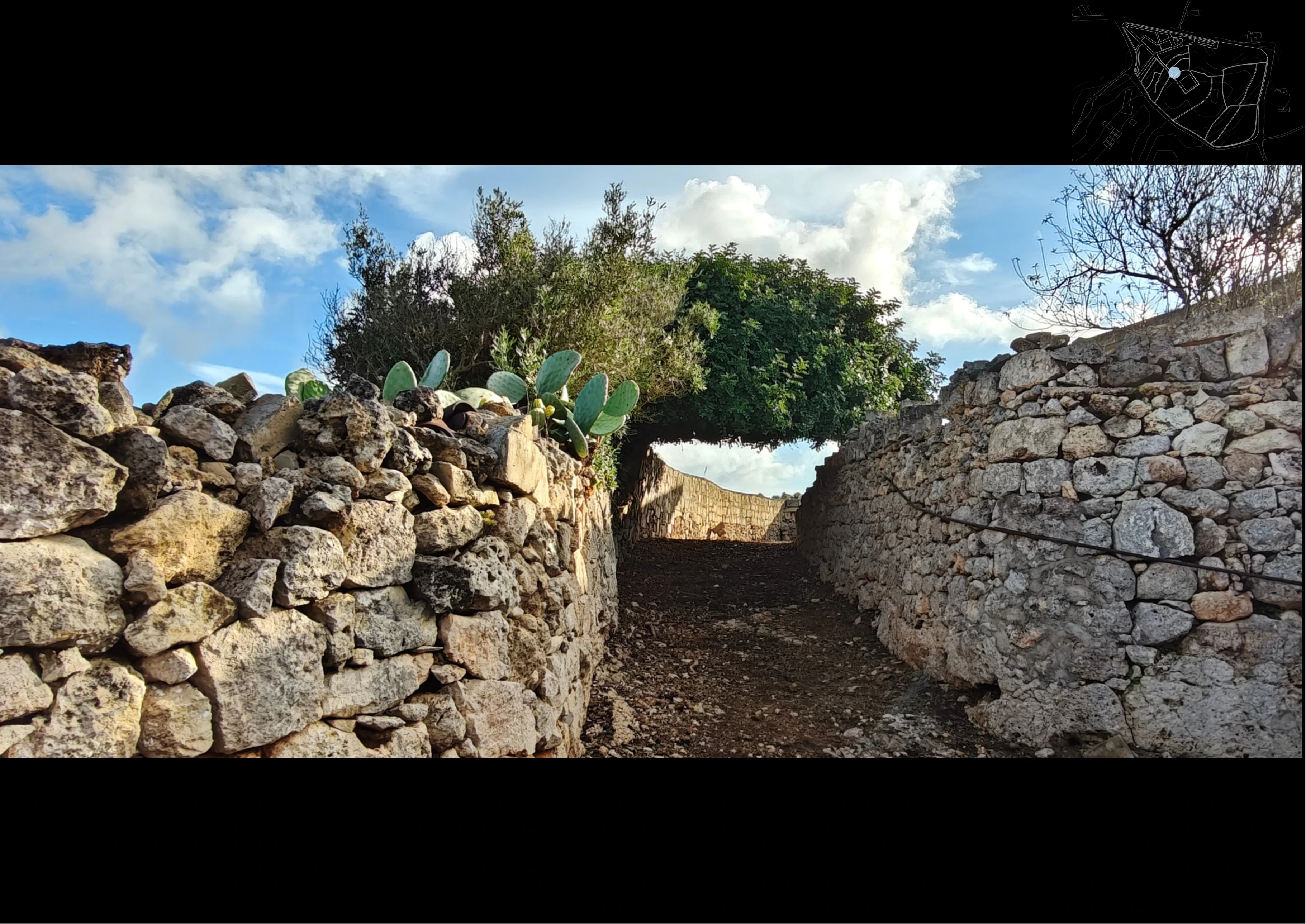 Material memory. Dry-stone edges hold soil, shadow and the trace of labour.